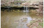 Property photo 13 - ABSOLUTE AUCTION - 298 Acres Offered in 4 Tracts